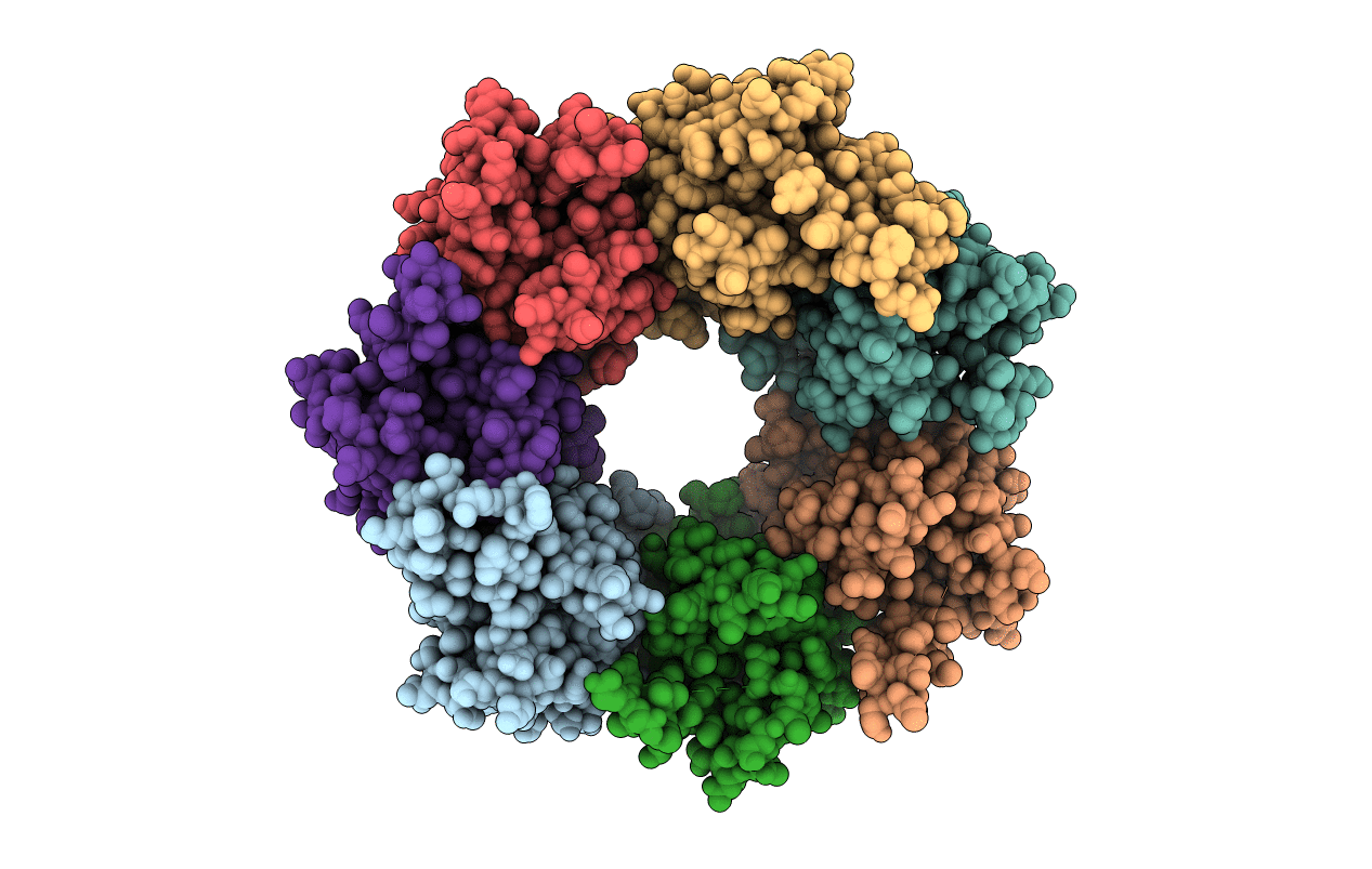 4GM2 image