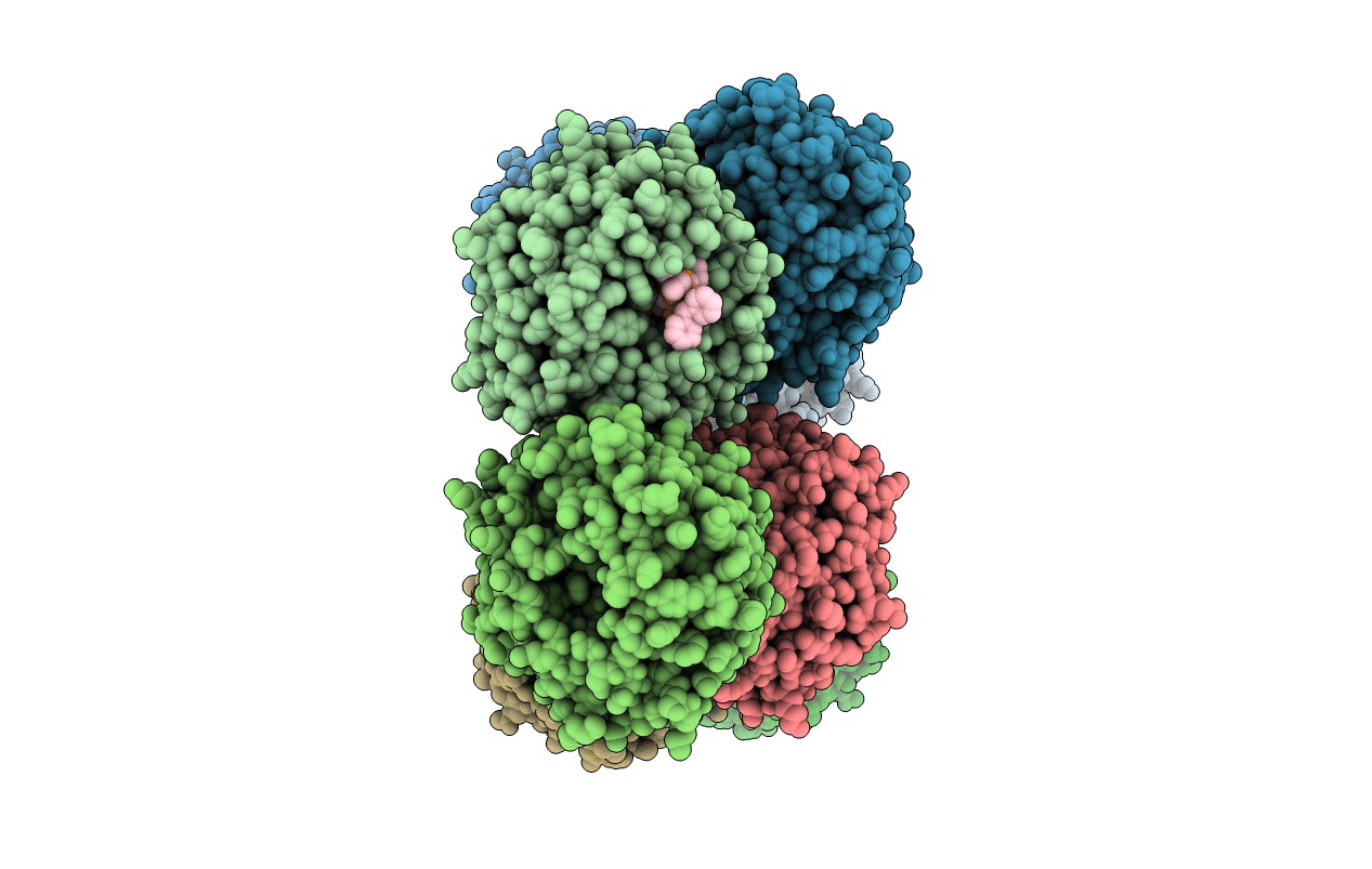 4GM3 image