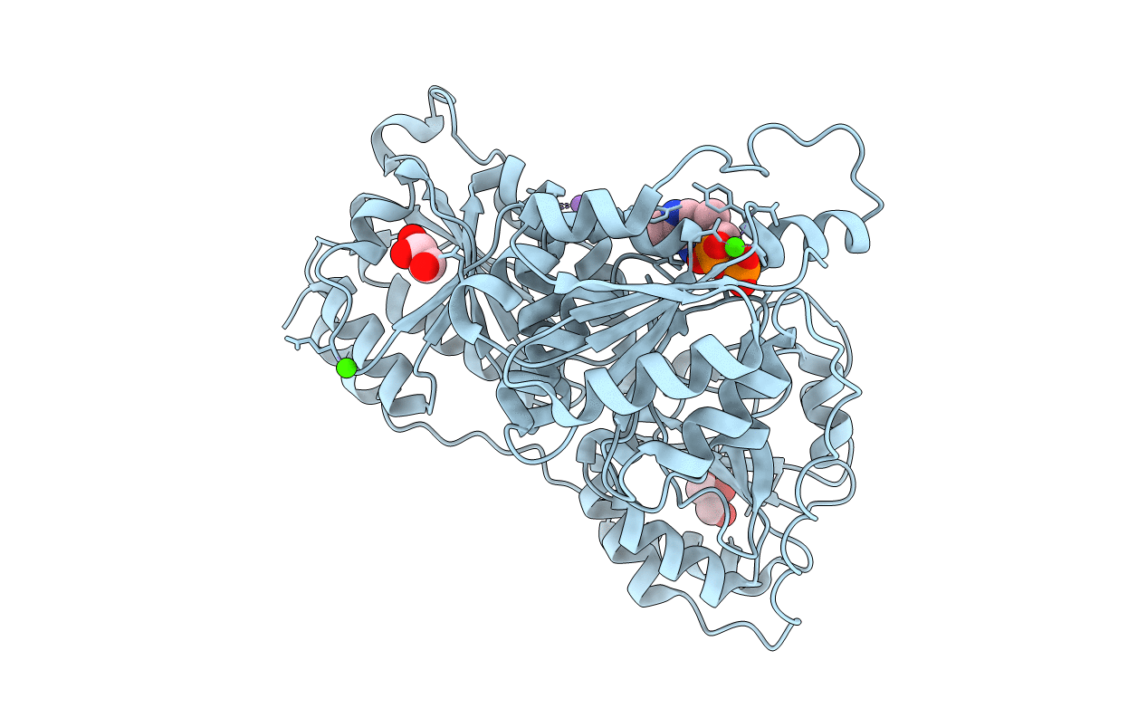 4GM4 image