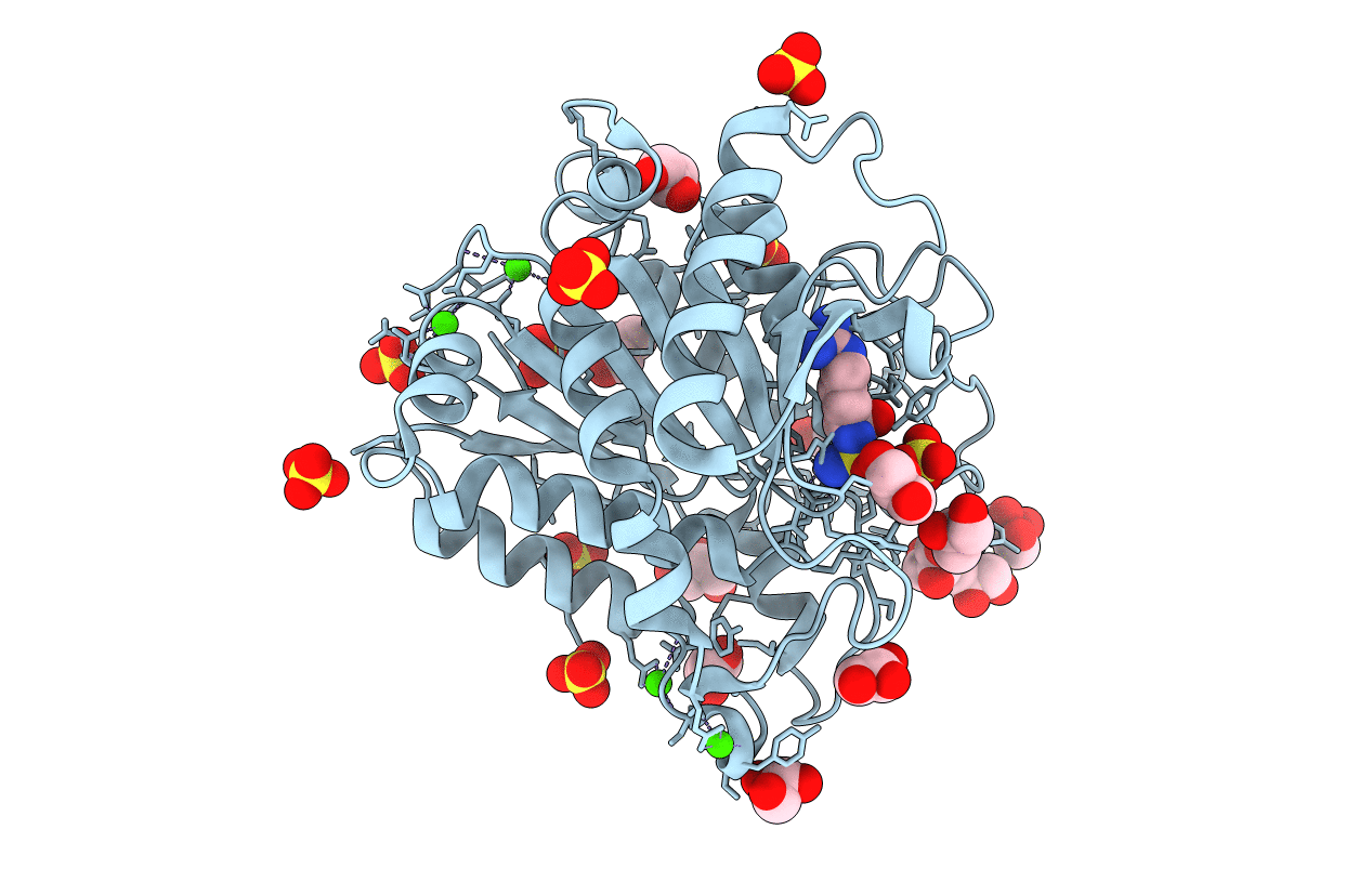 4GM5 image