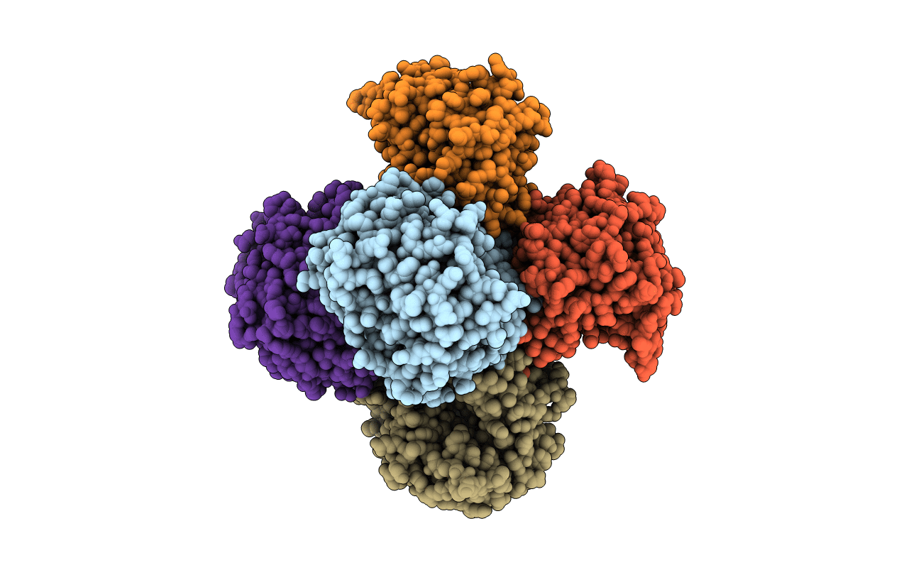 4GM6 image