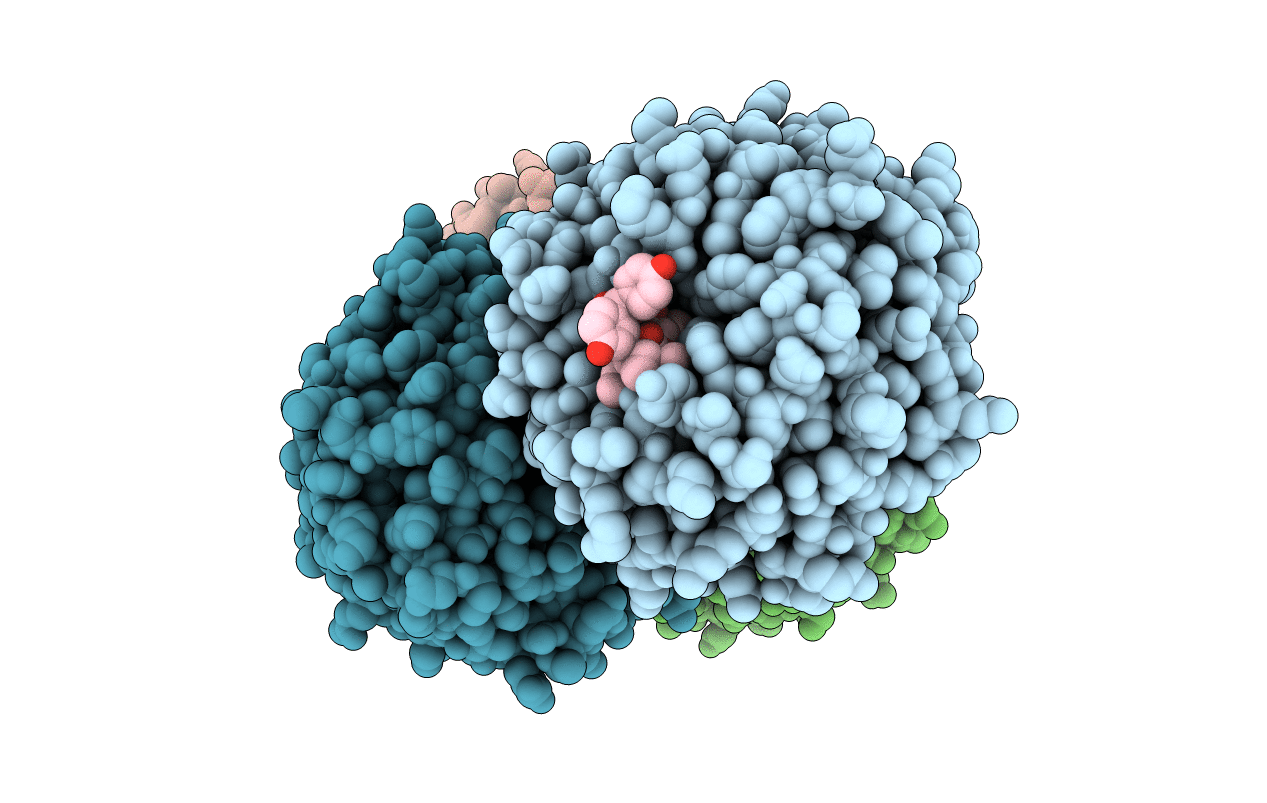 4GM8 image