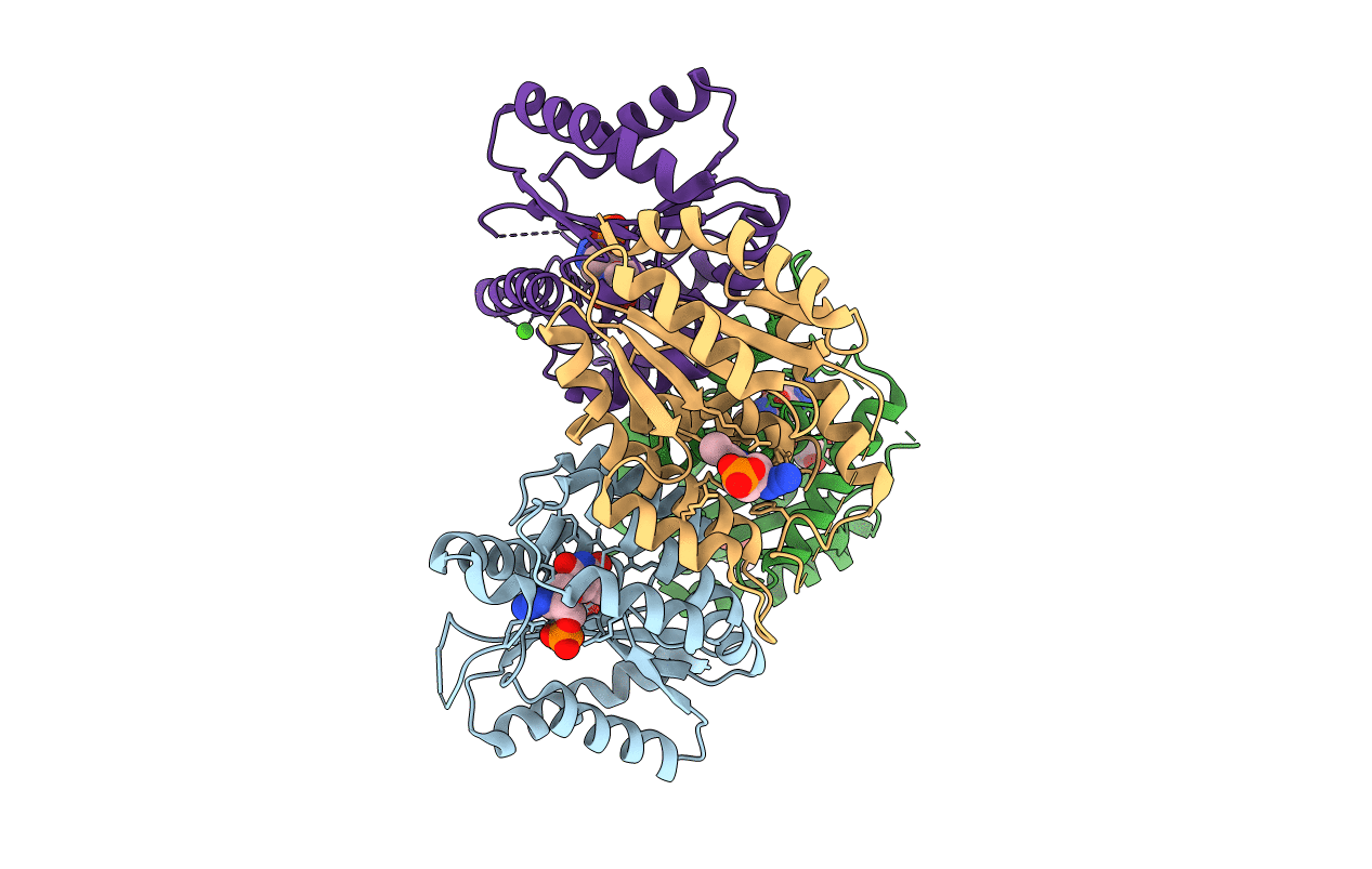 4GMD image