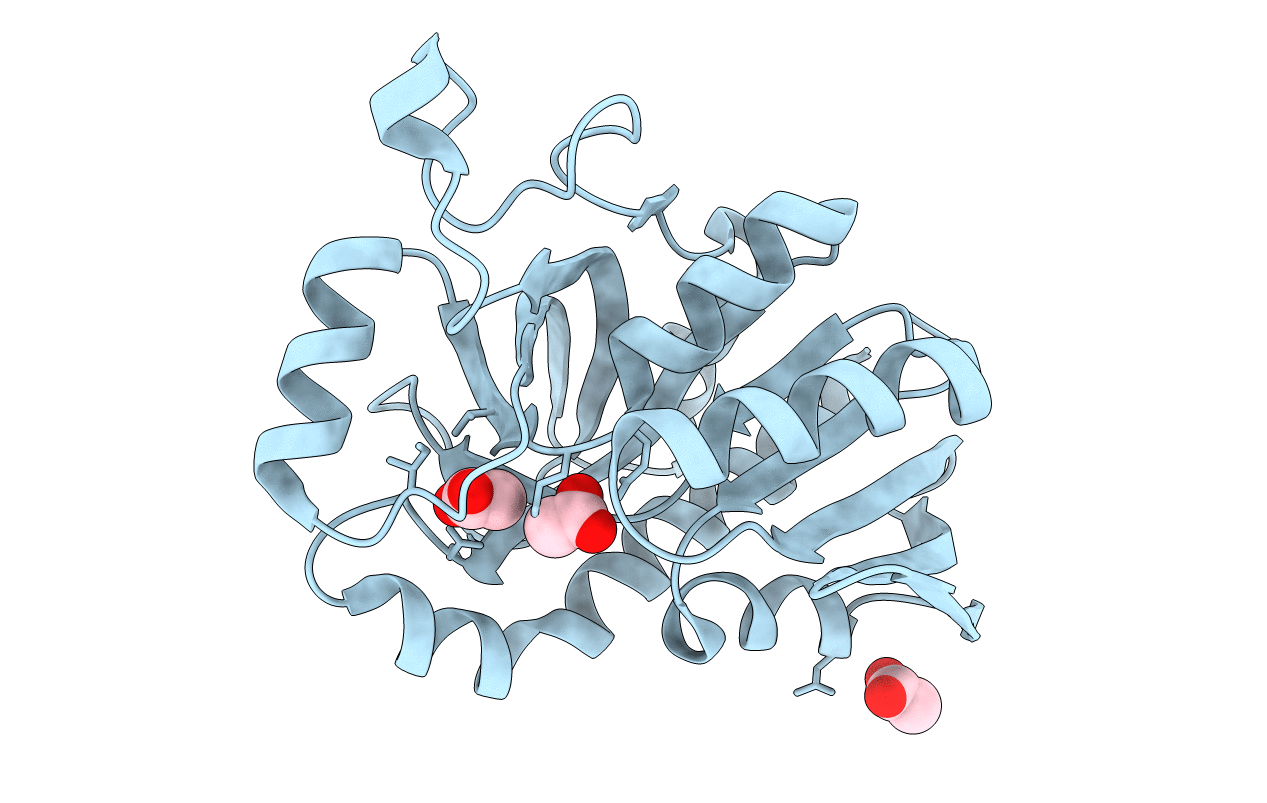 4GMH image