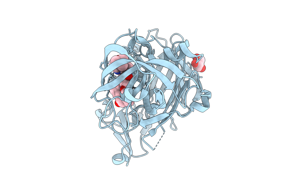 4GMI image