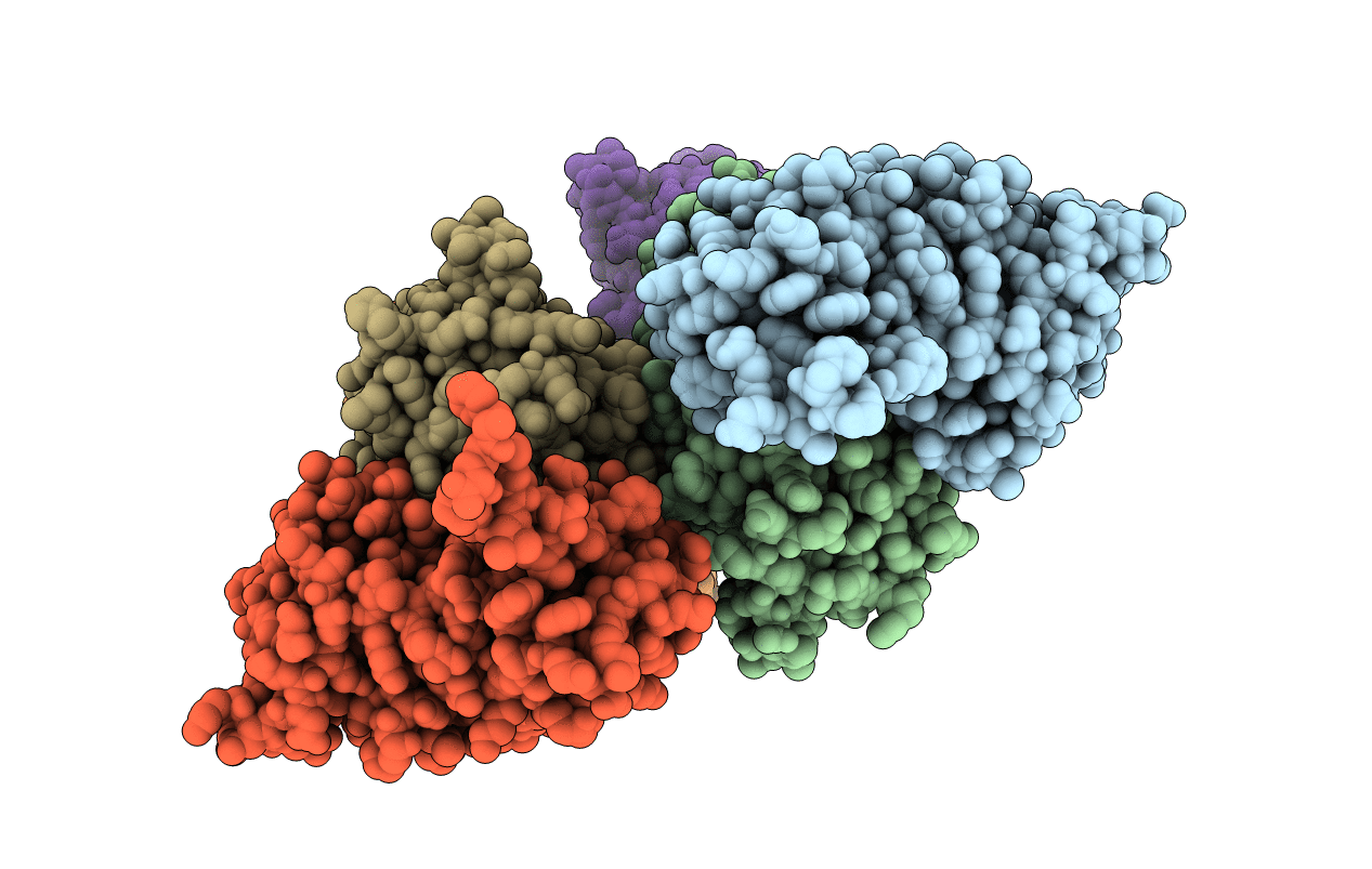 4GML image