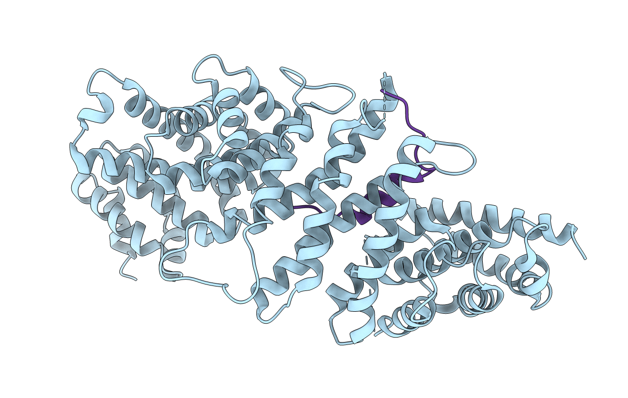 4GMN image