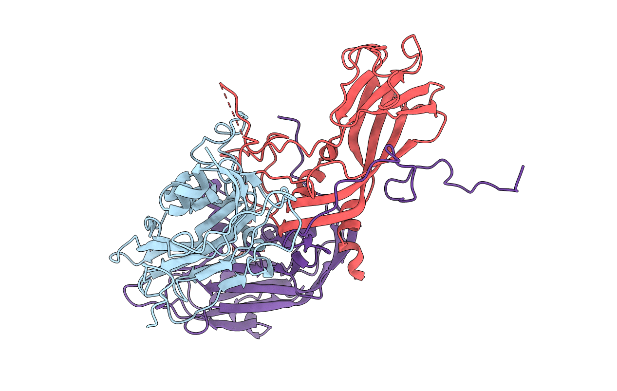 4GMP image