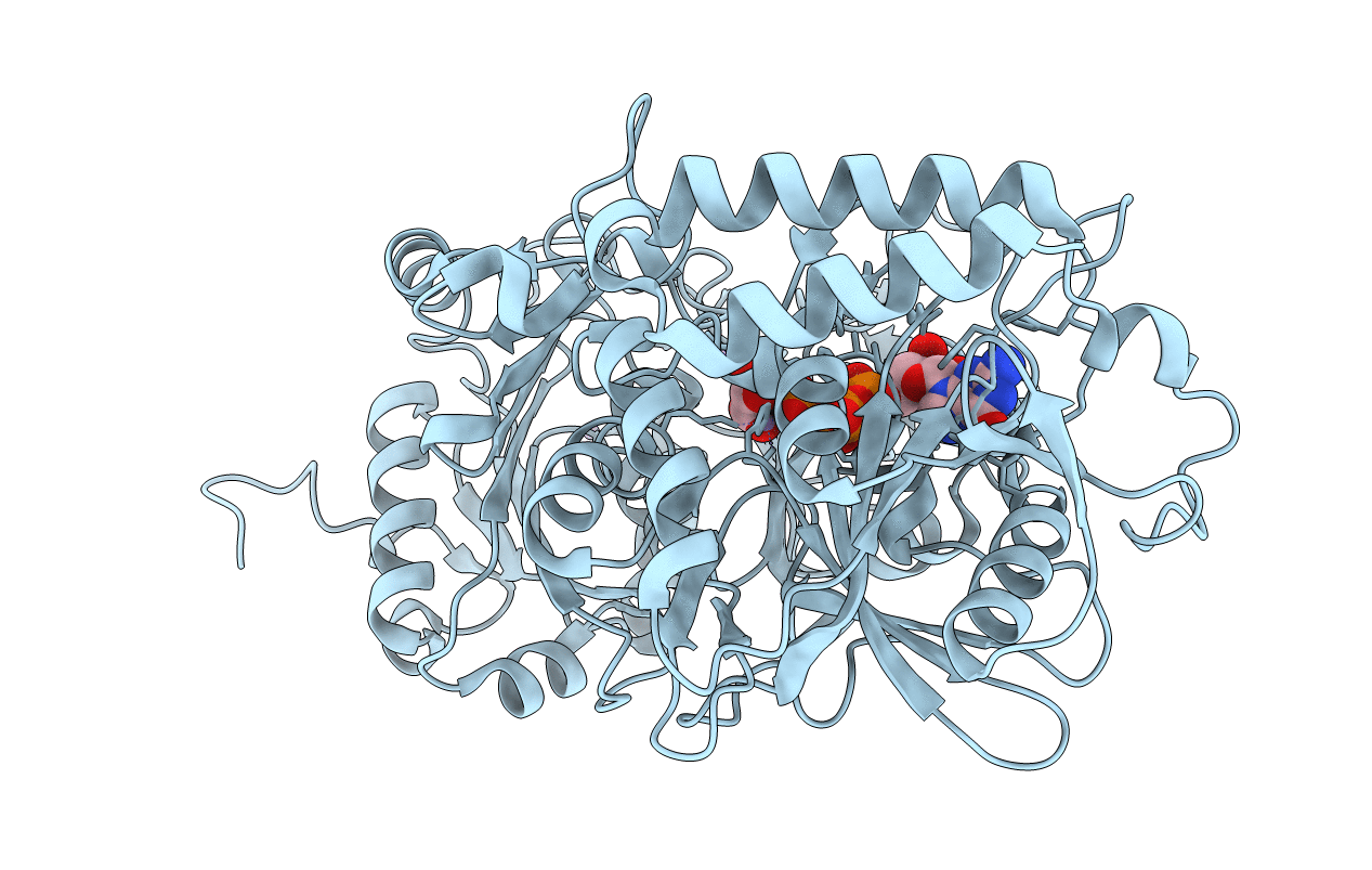 4GMU image