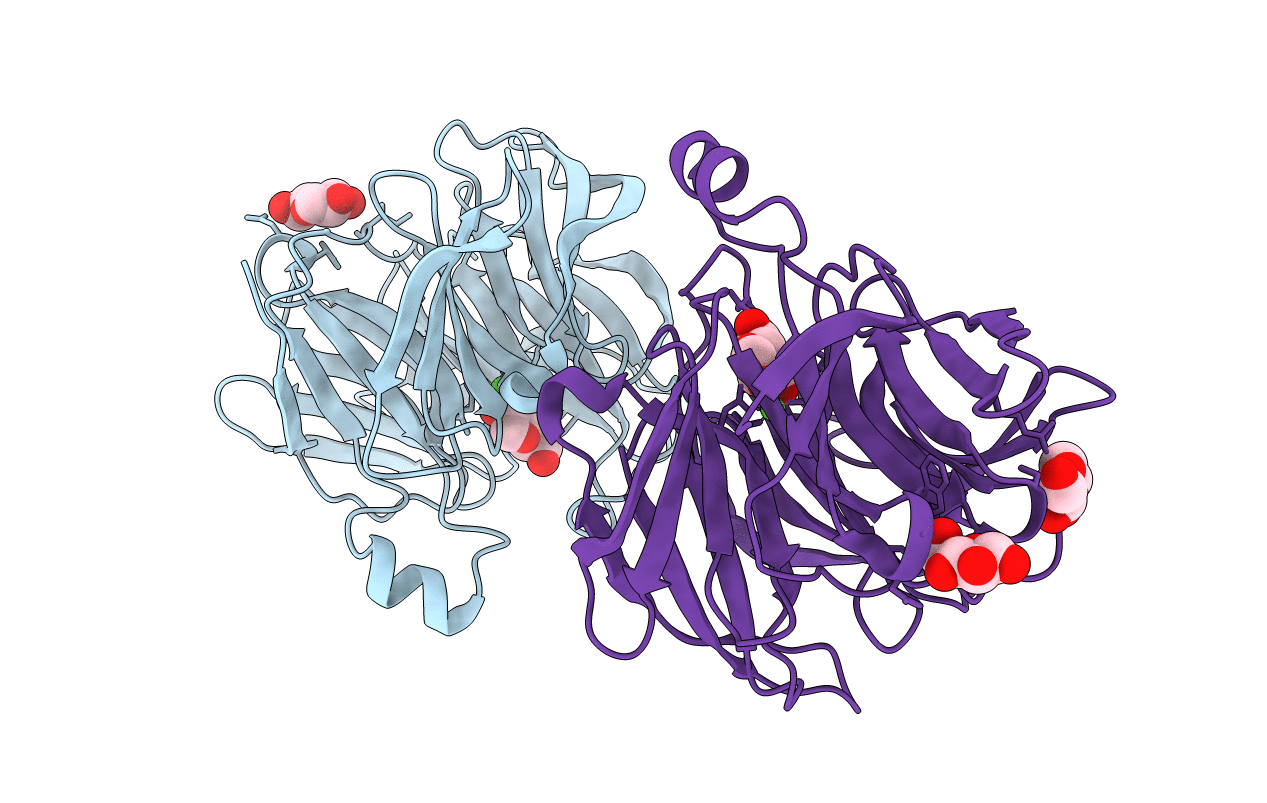 4GNC image