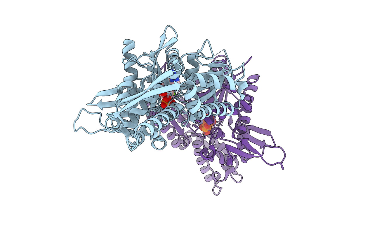 4GNI image