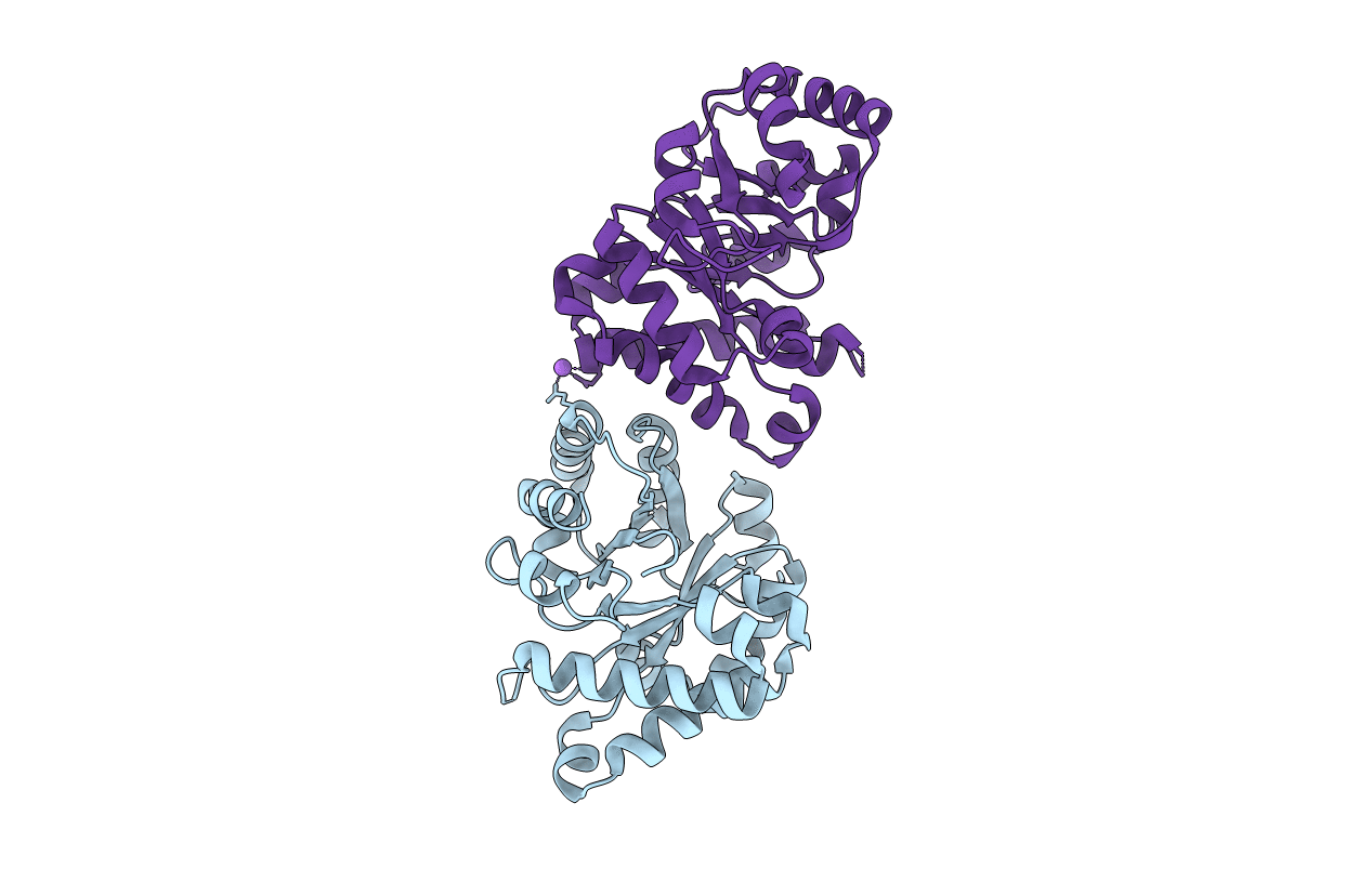 4GNJ image