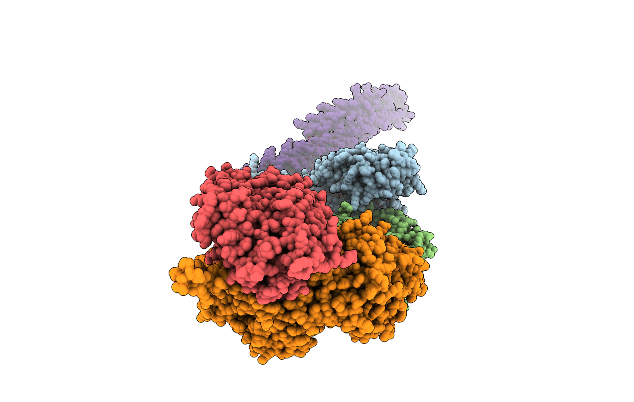4GNK image