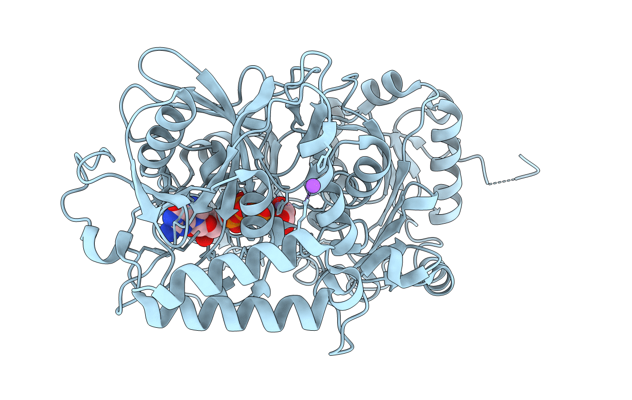 4GNM image