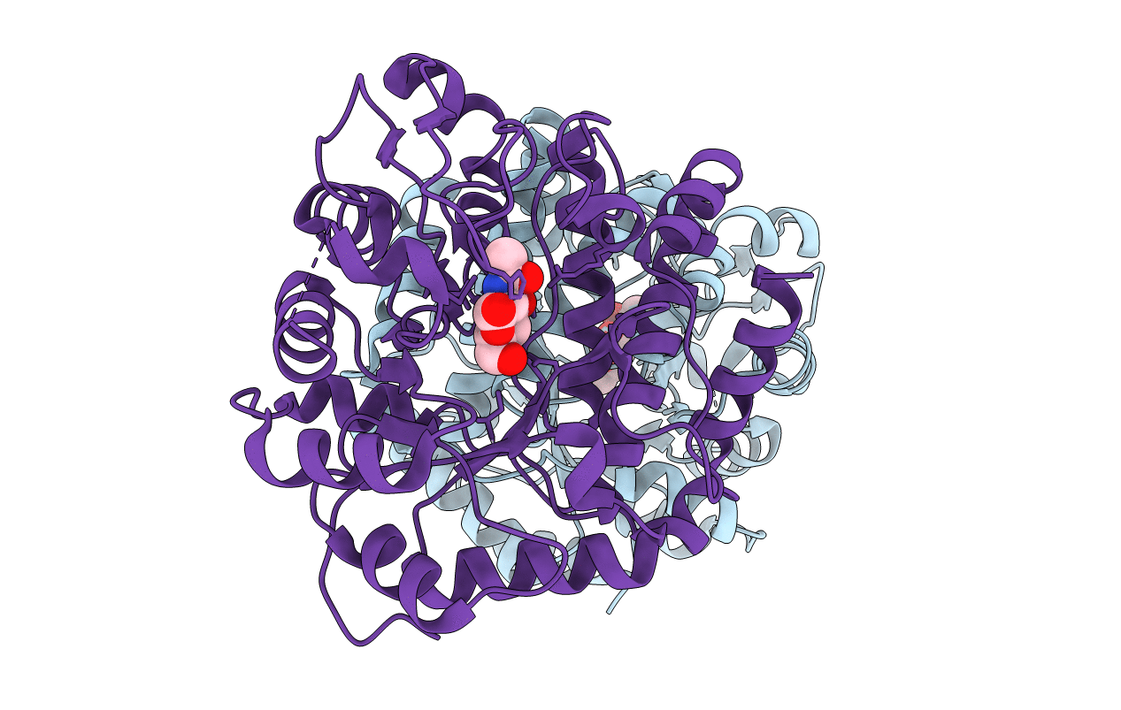 4GNV image