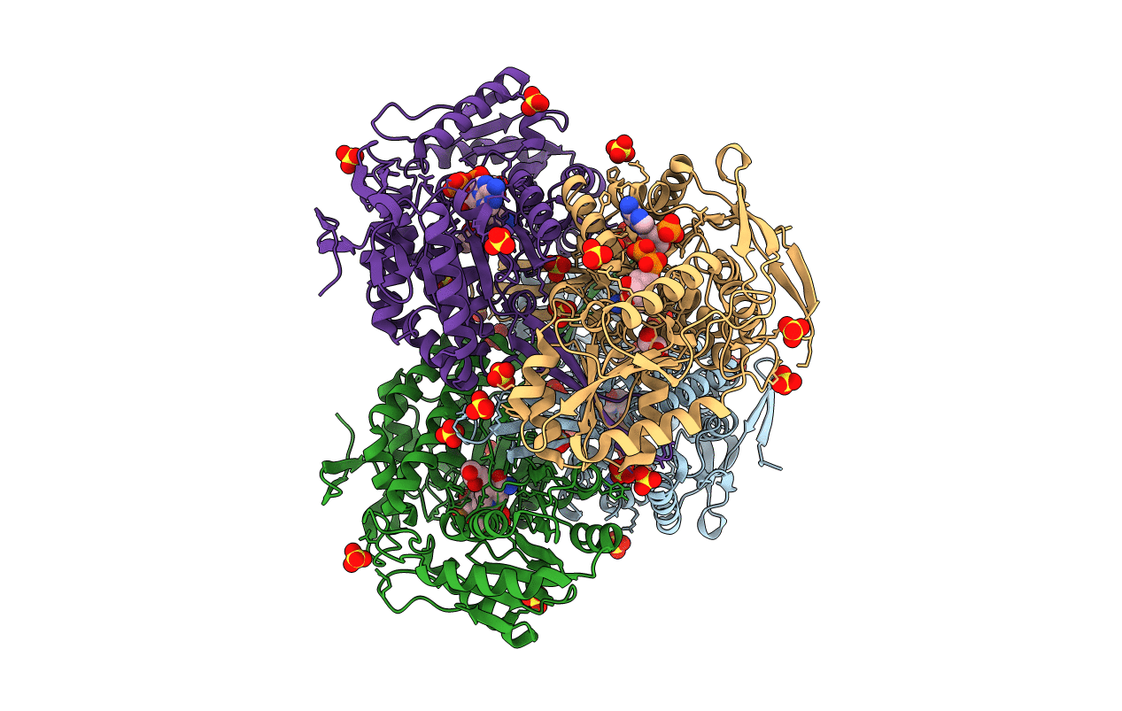 4GNZ image