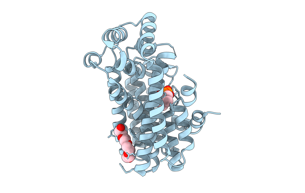 4GP1 image