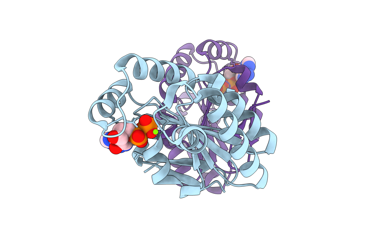 4GP6 image