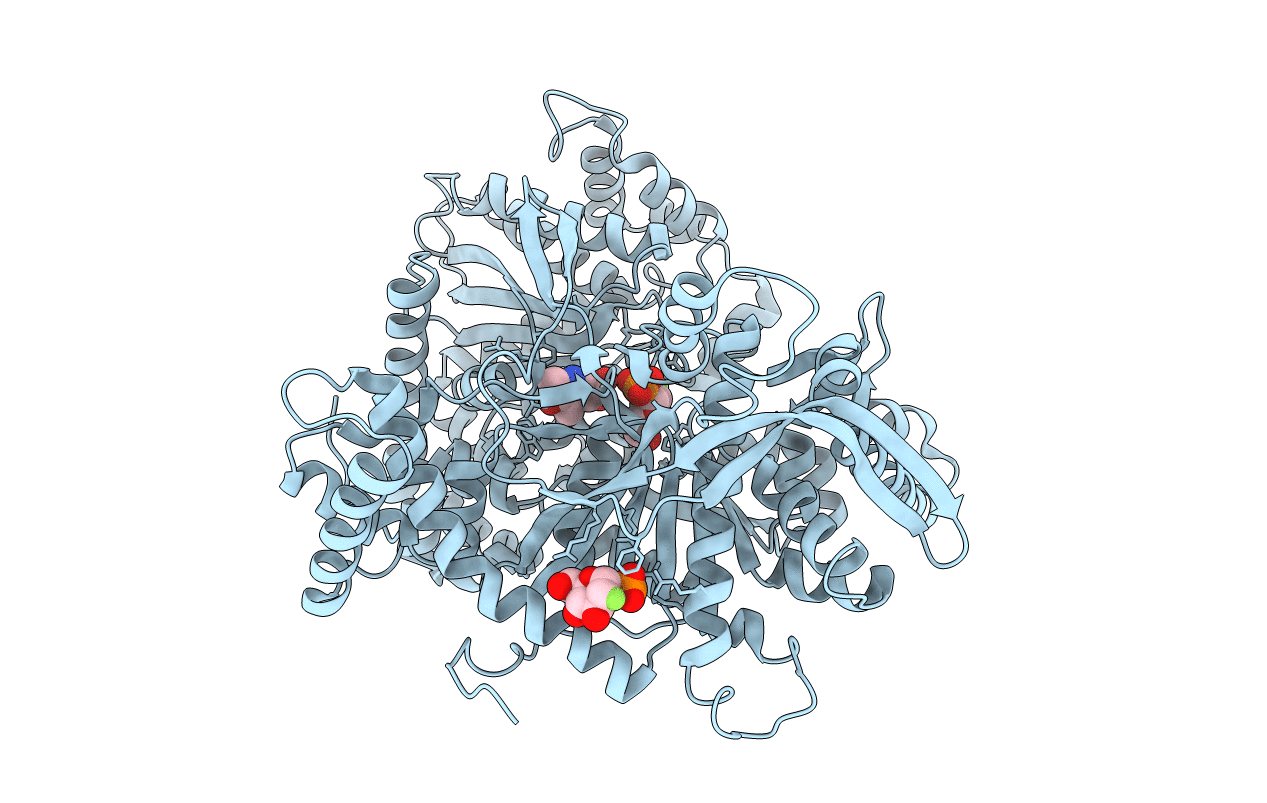 4GPB image