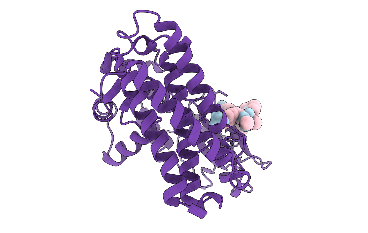 4GPL image