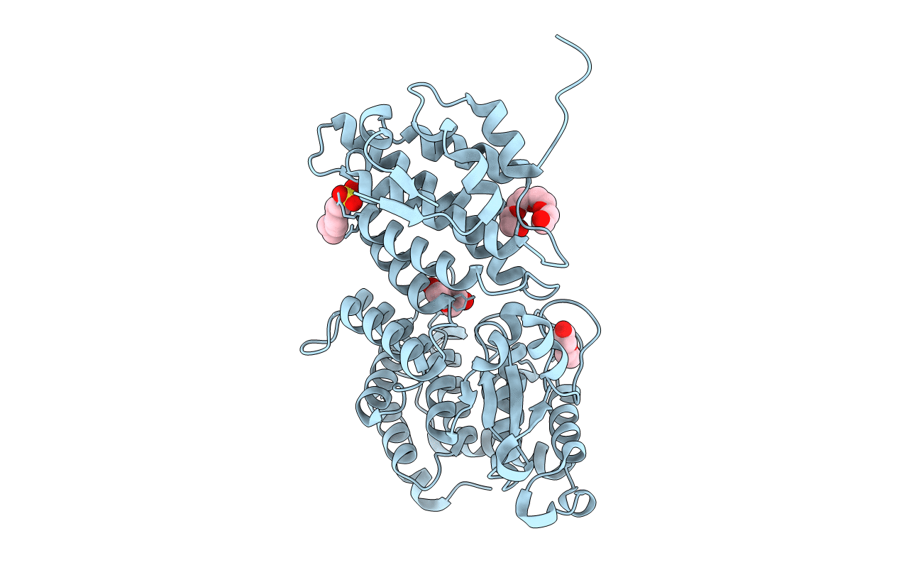 4GPQ image