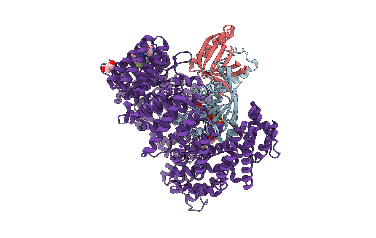 4GPT image