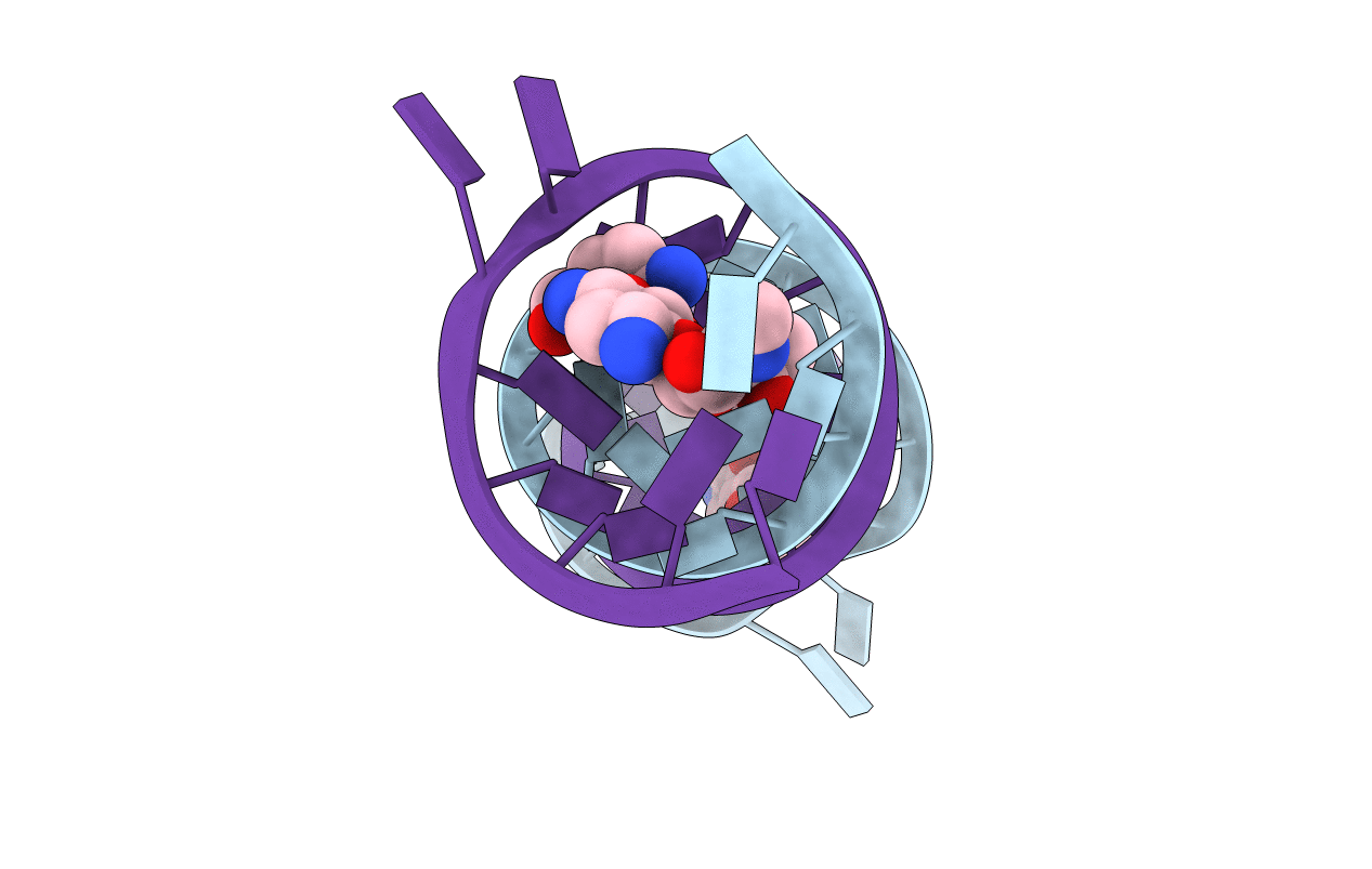 4GPX image