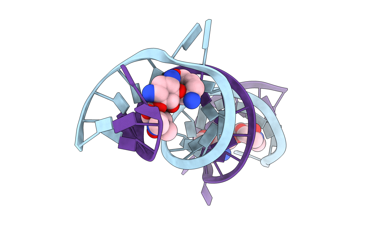 4GPY image