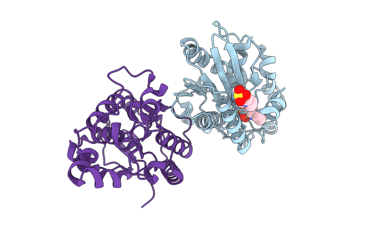 4GPZ image