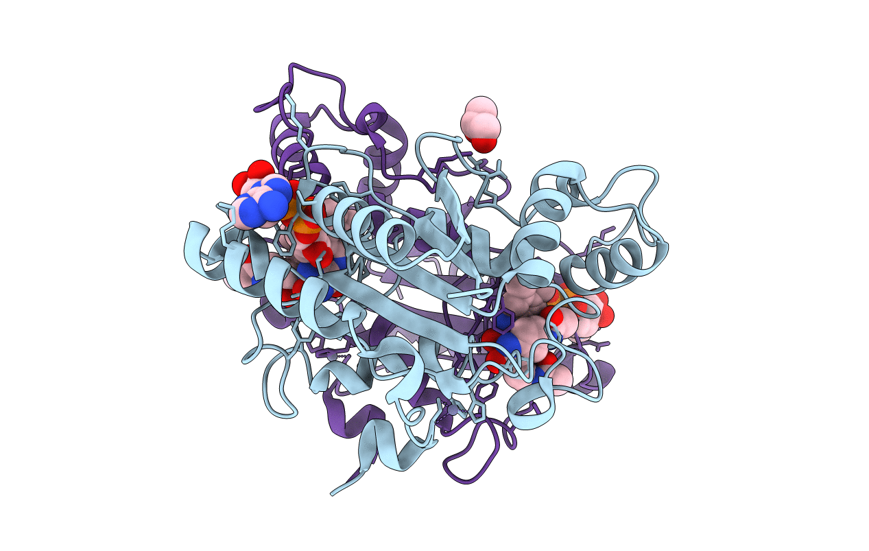 4GQI image
