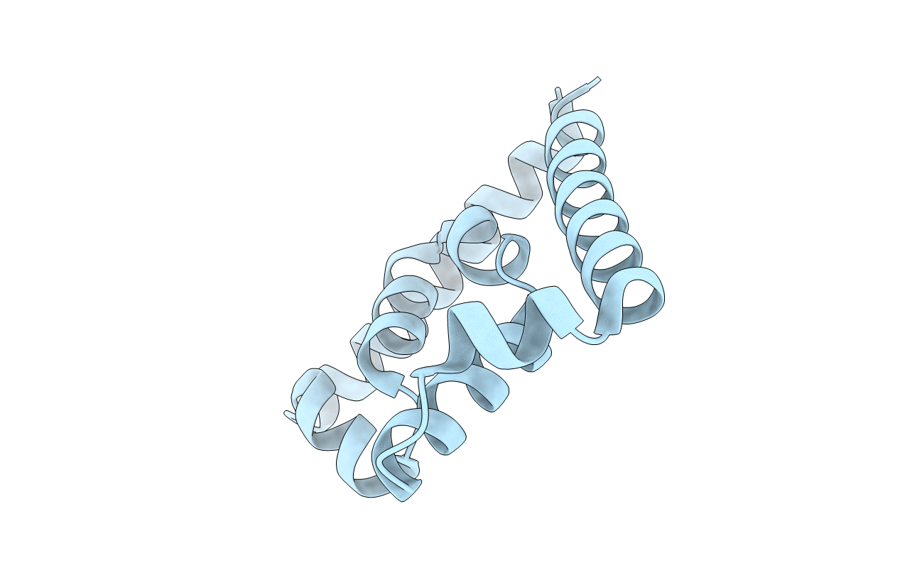4GQM image