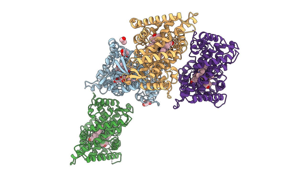4GQS image