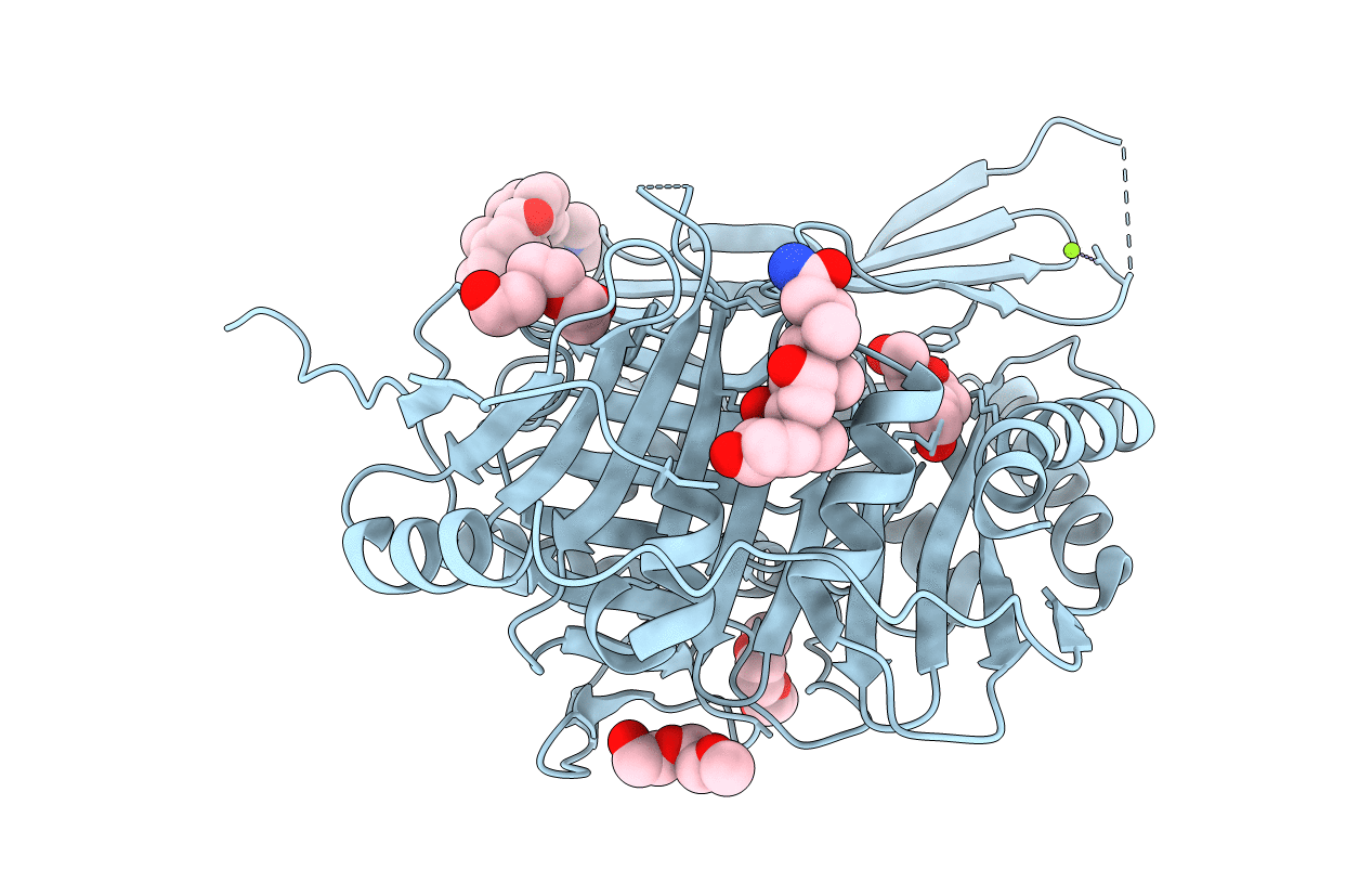 4GRH image