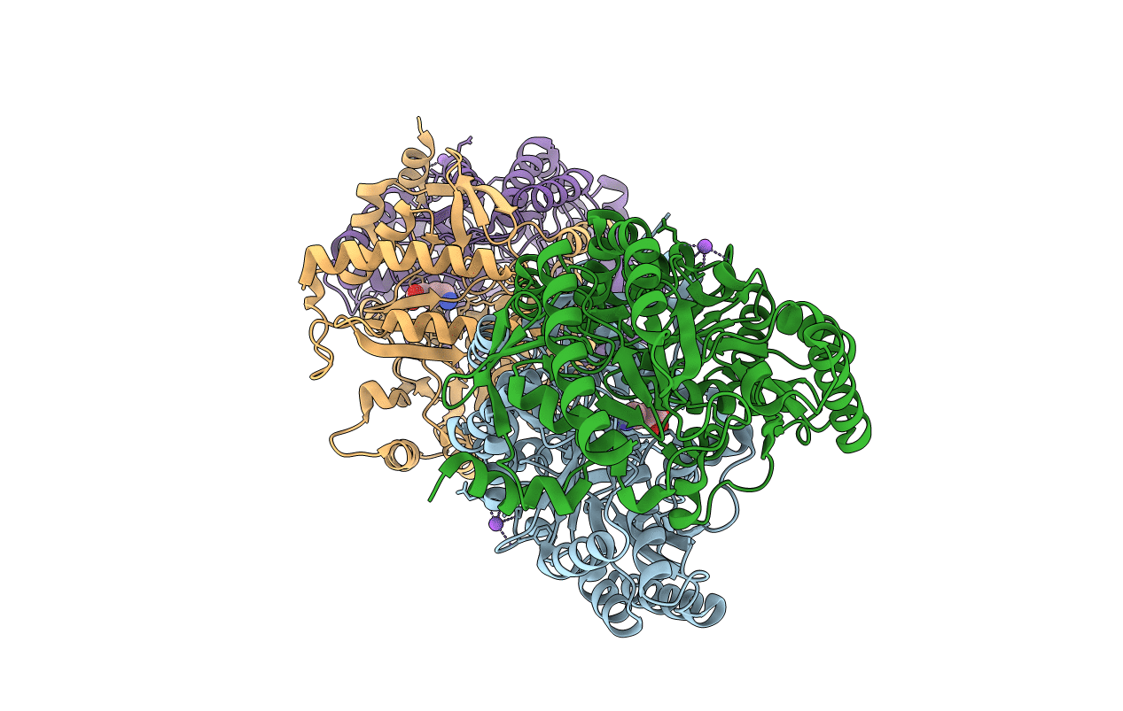 4GRX image
