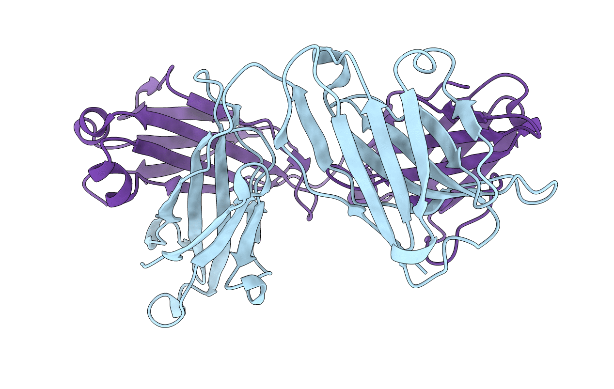 4GSD image