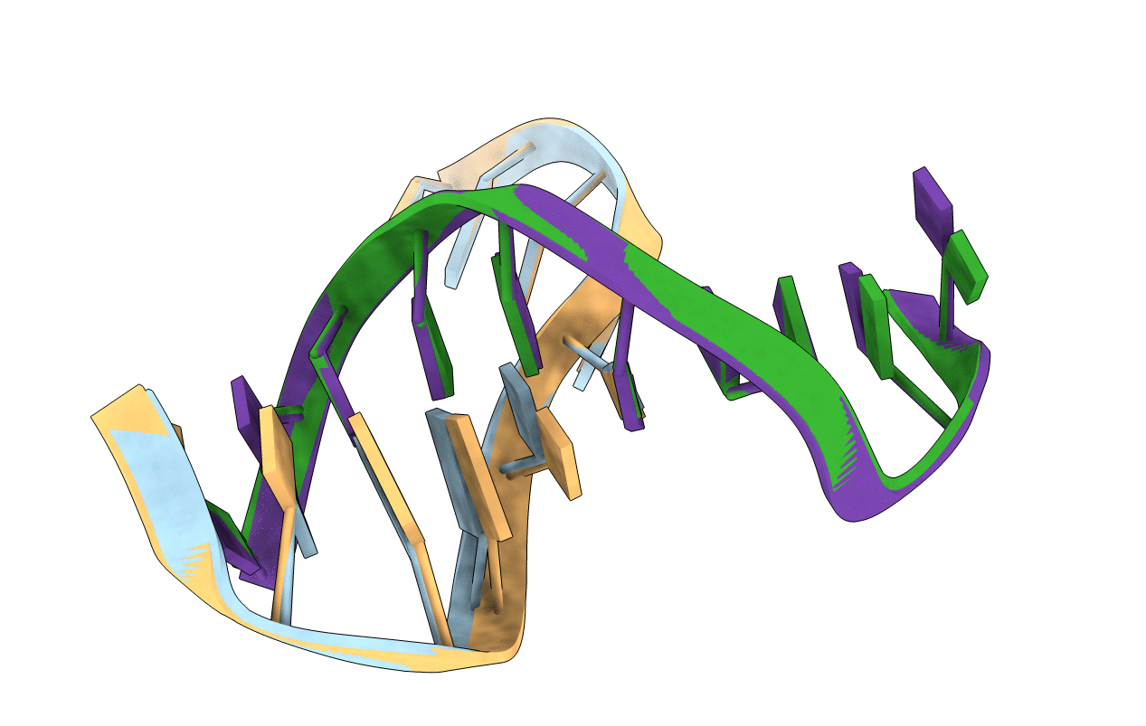 4GSG image