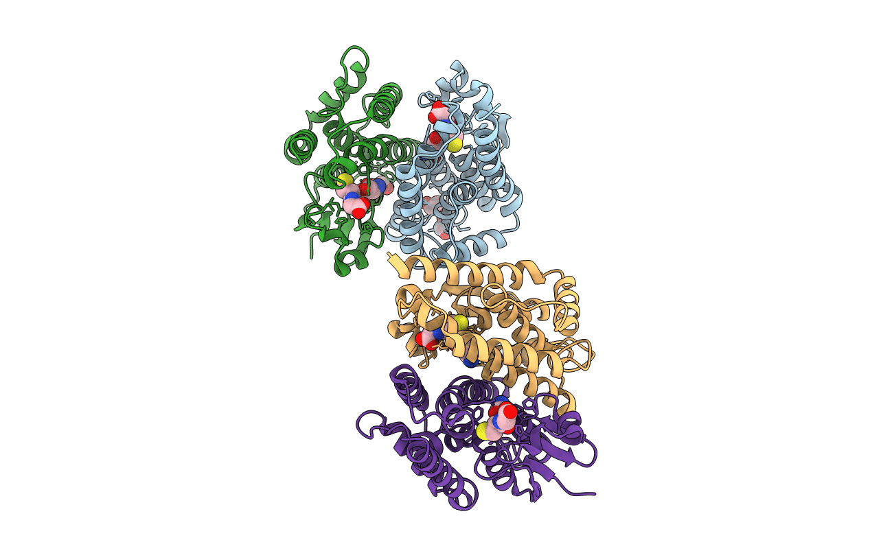 4GSN image