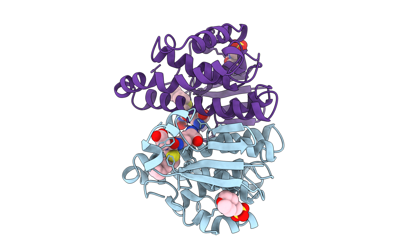 4GSS image