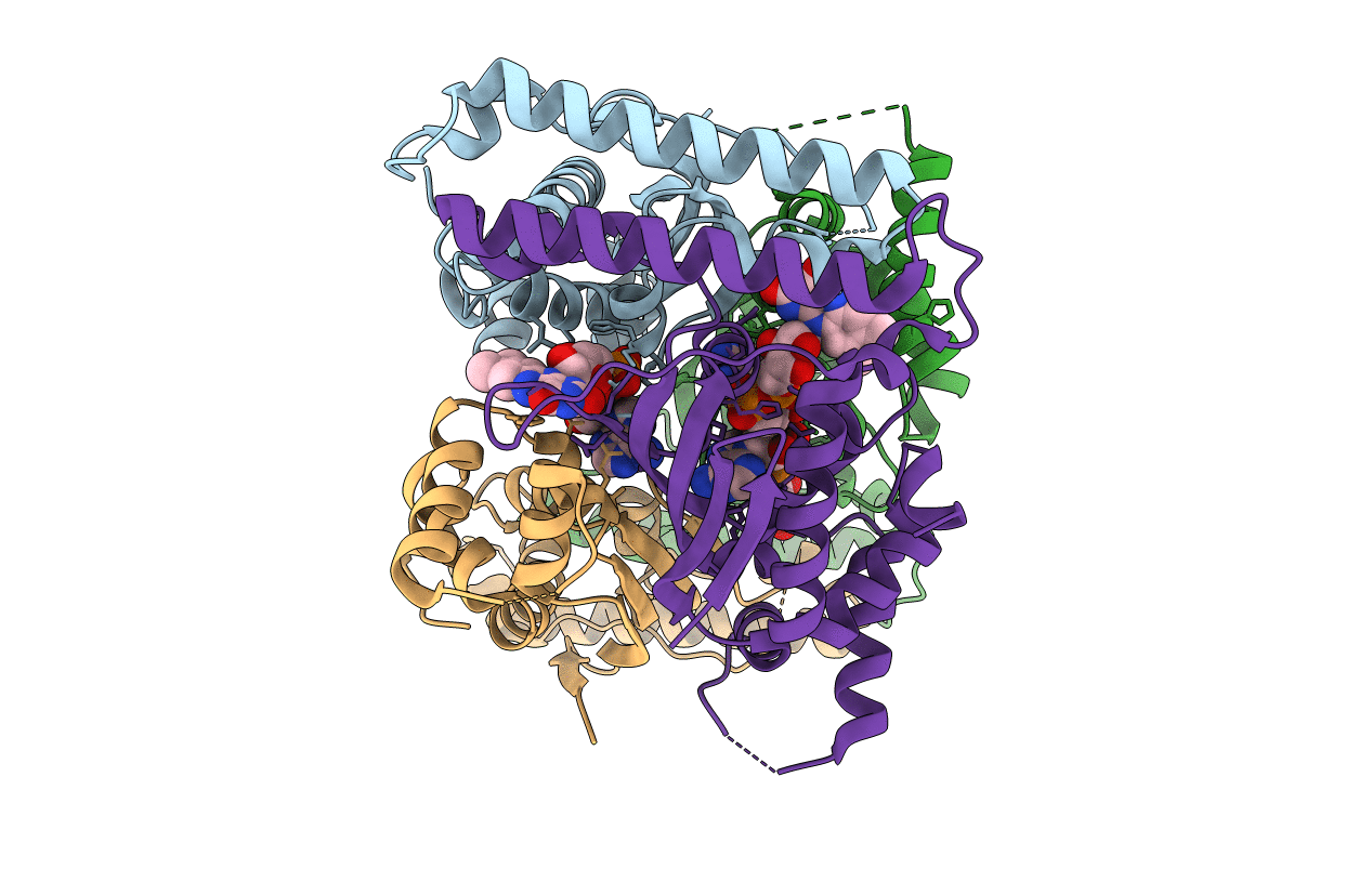 4GTL image