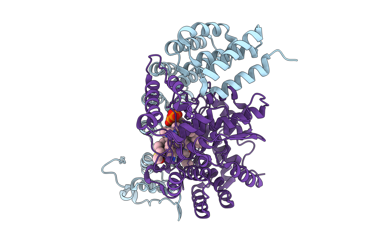4GTM image
