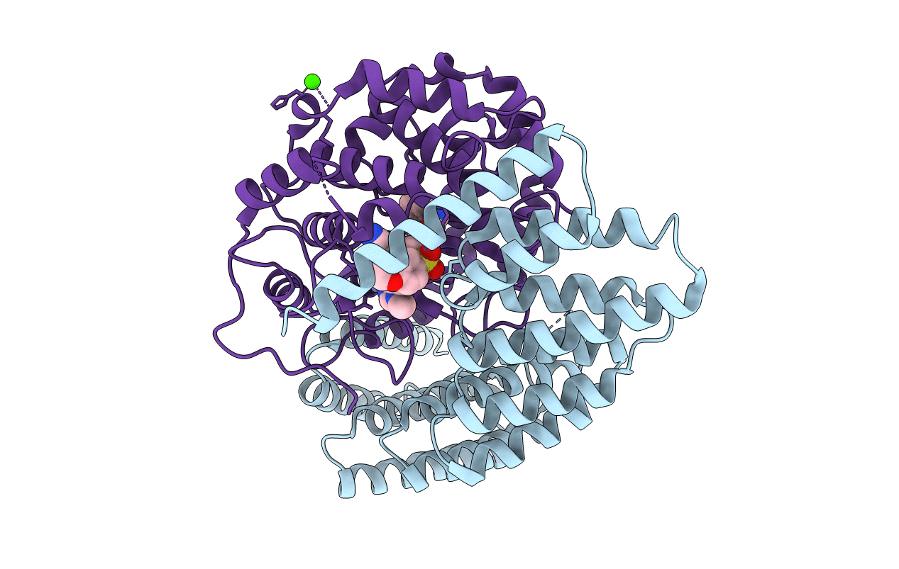 4GTT image