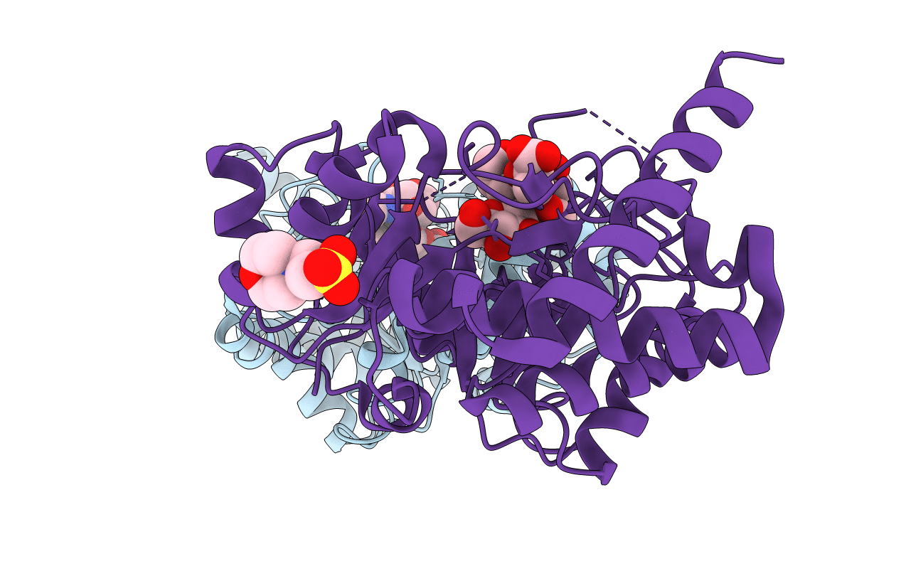4GVI image