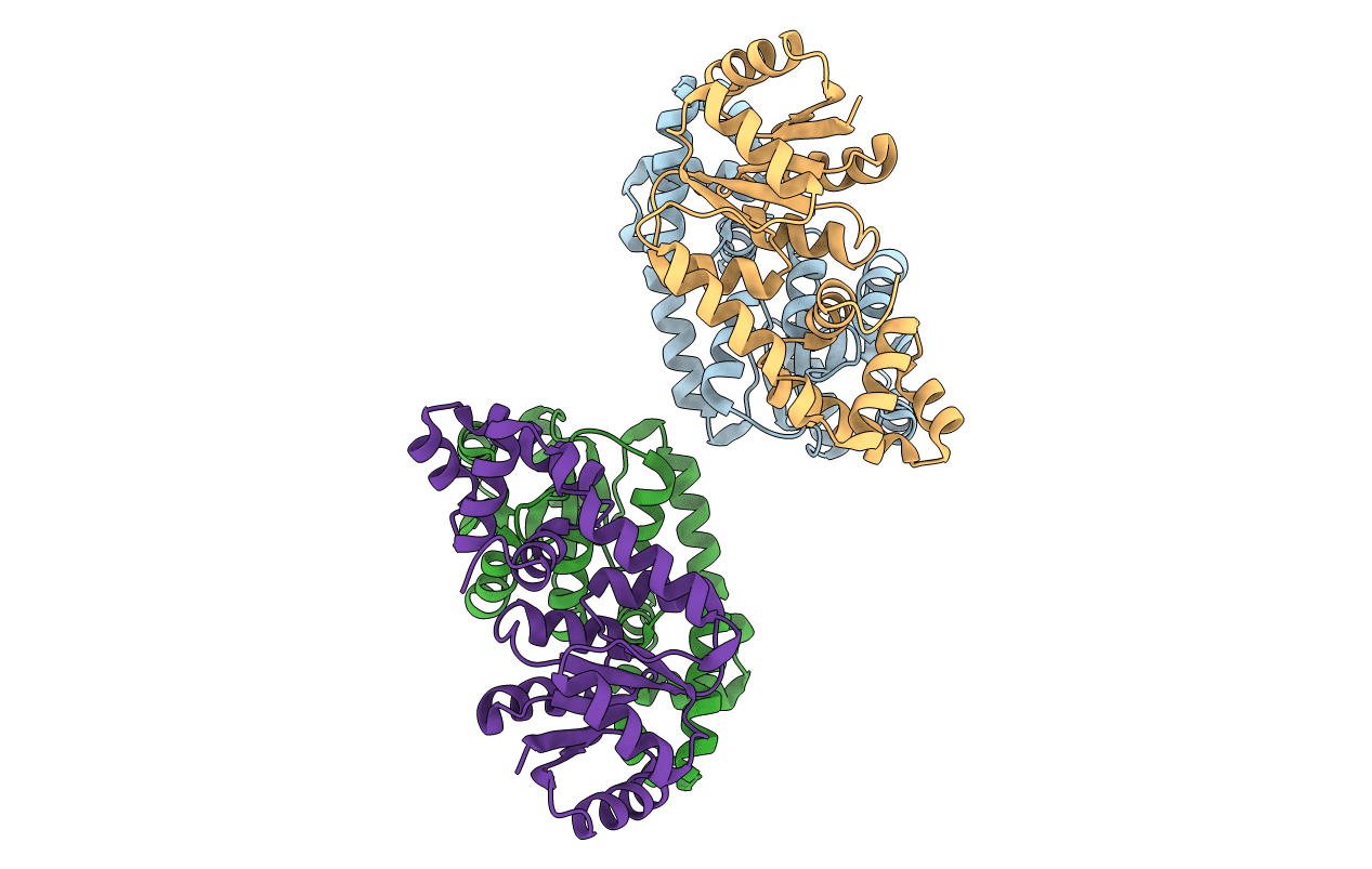 4GVP image