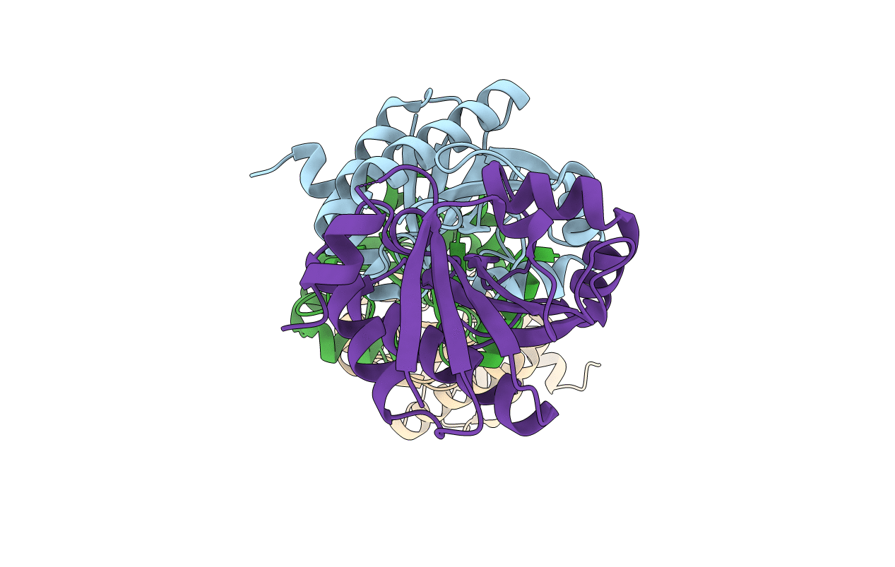 4GVV image