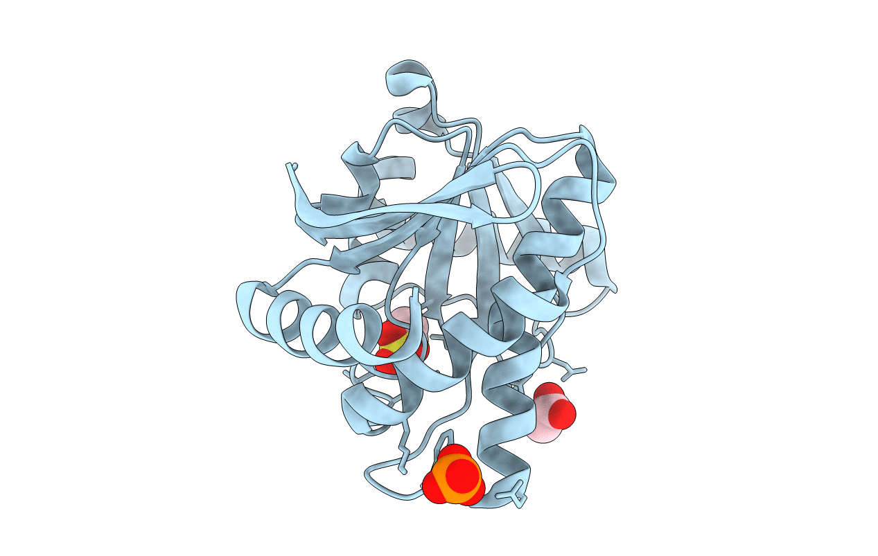 4GVW image