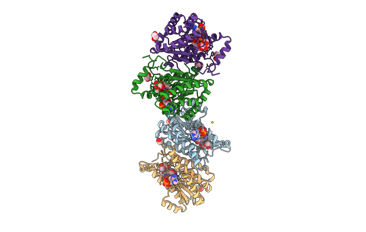 4GVX image