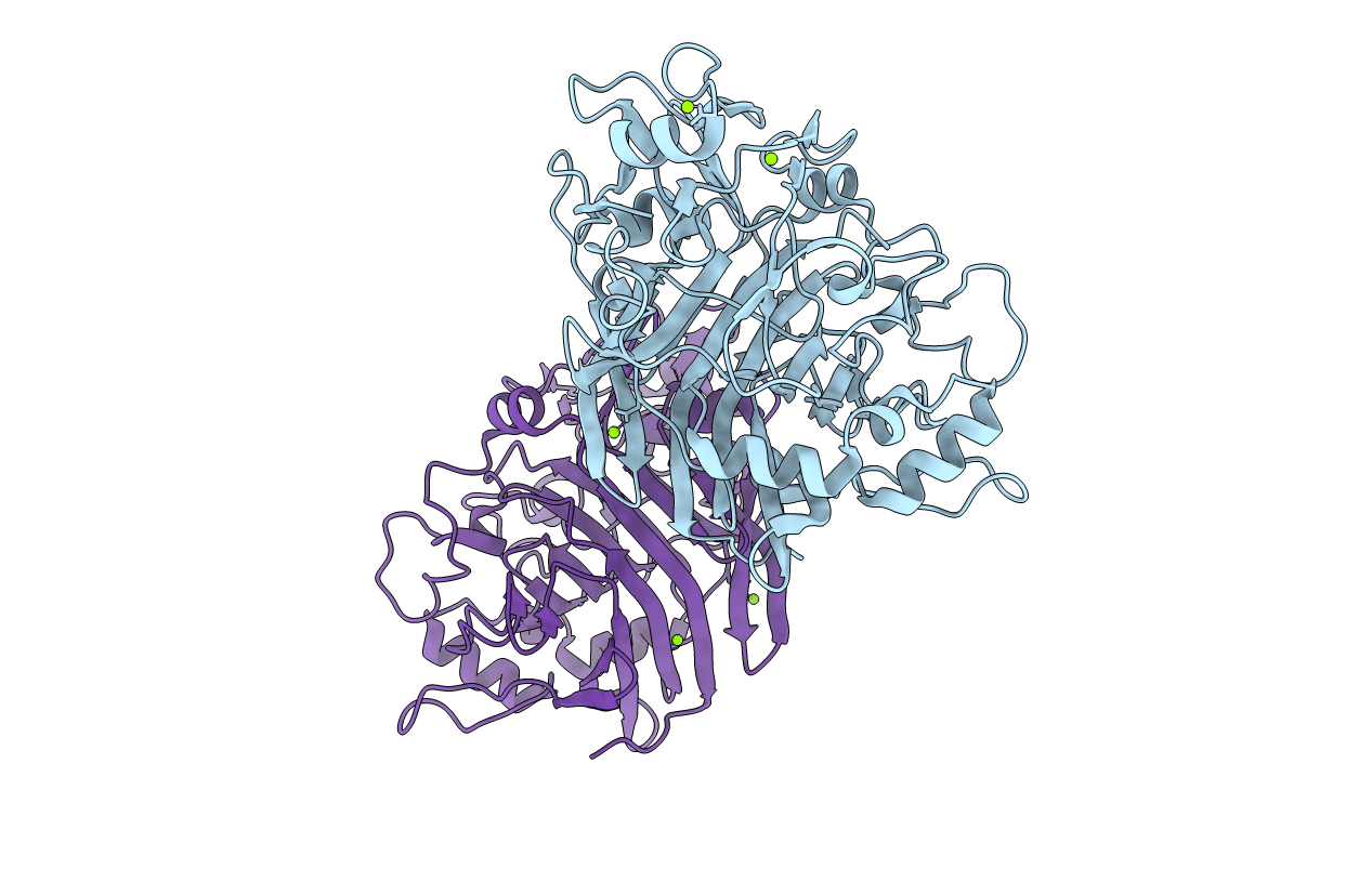 4GWA image