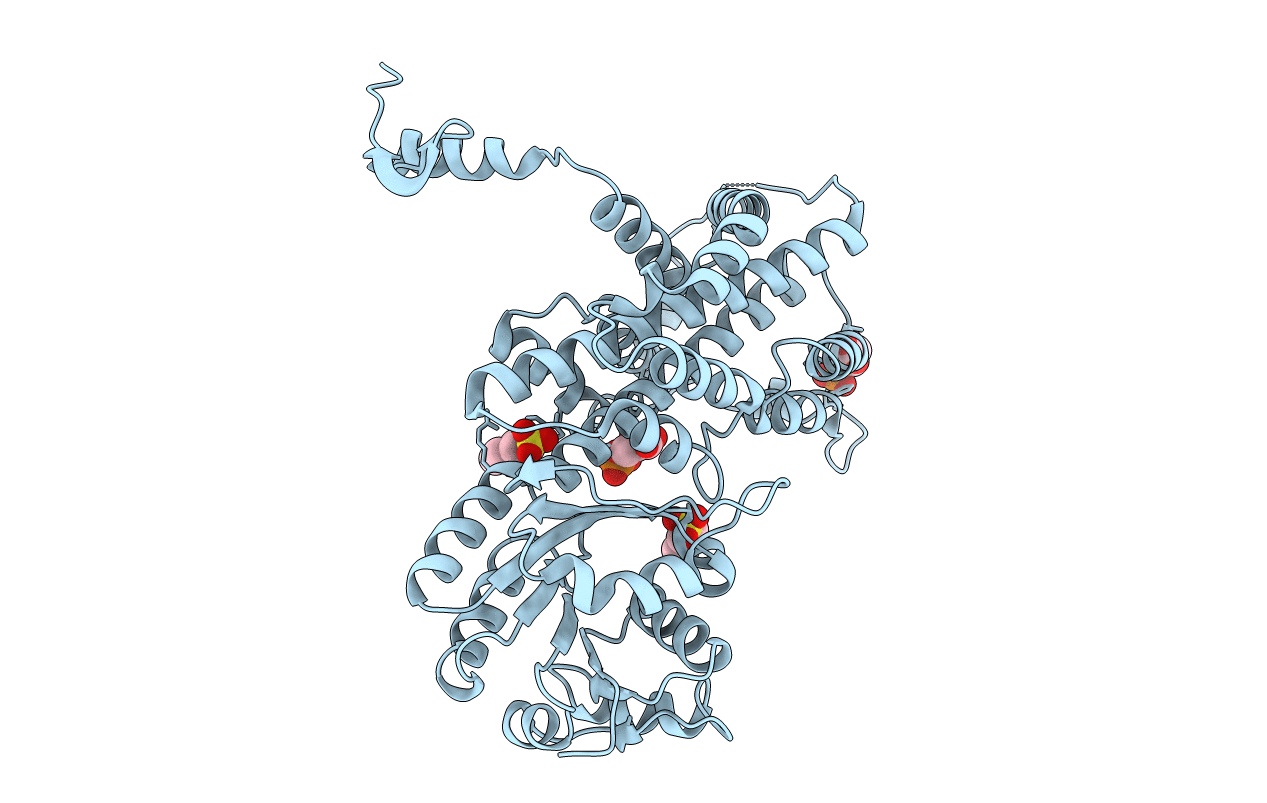 4GWK image