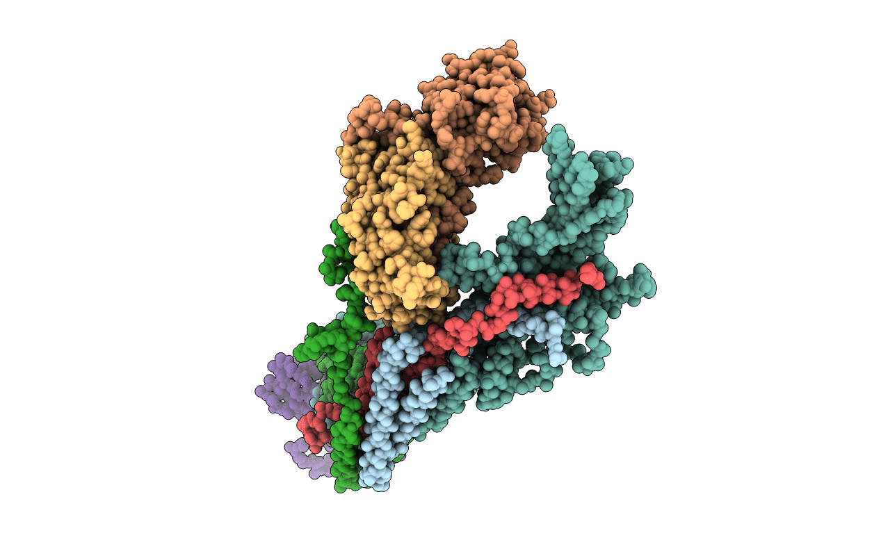 4GWP image
