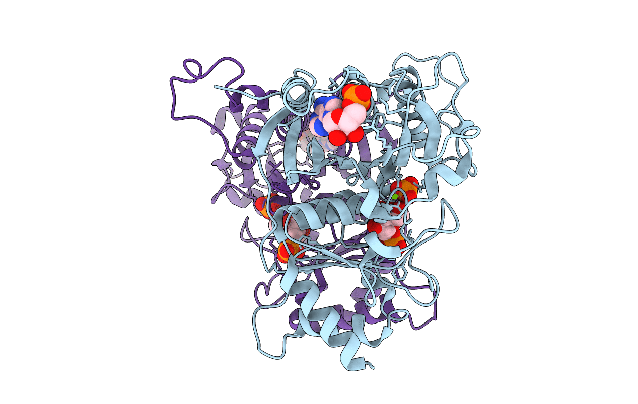 4GWS image
